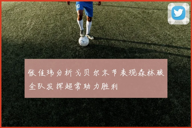 张佳玮分析戈贝尔末节表现森林狼全队发挥超常助力胜利